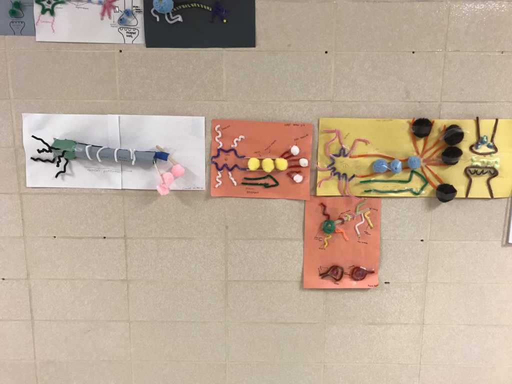 Art Projects or&nbsp;Neurons?