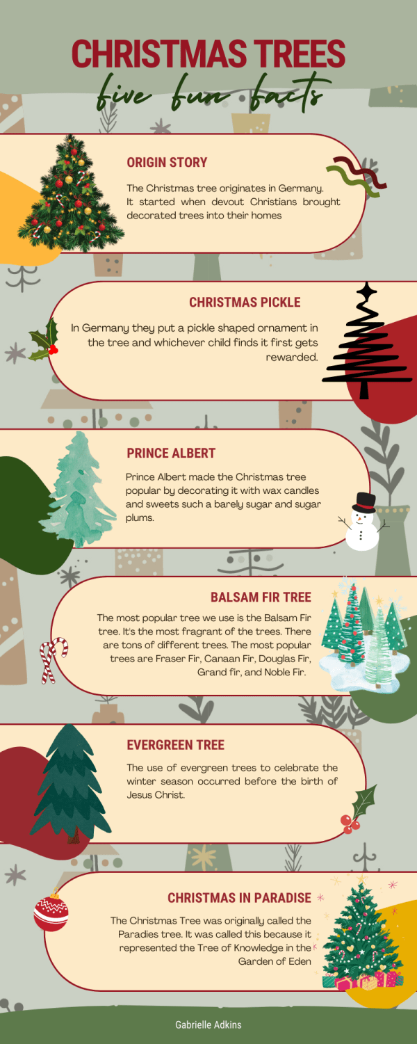 Fun facts about Christmas&nbsp;trees