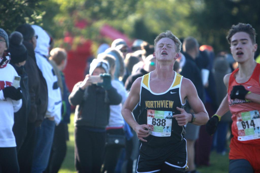 Is cross country a sport?