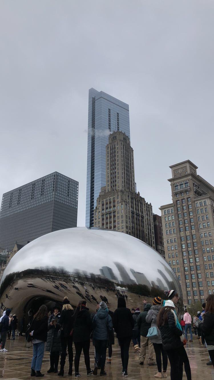 The Cats take on&nbsp;Chicago