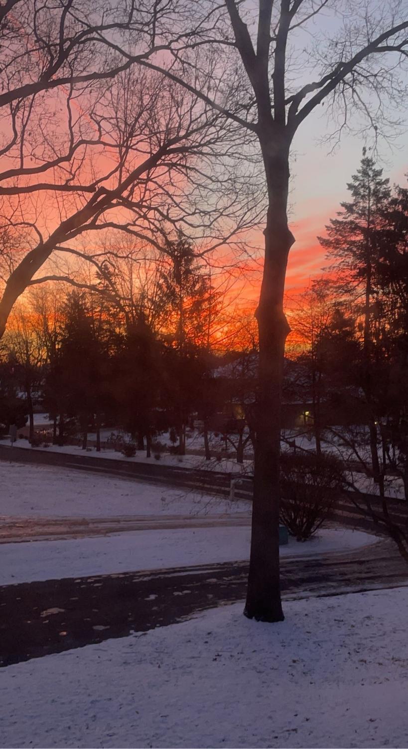 Shining light on students seasonal&nbsp;depression